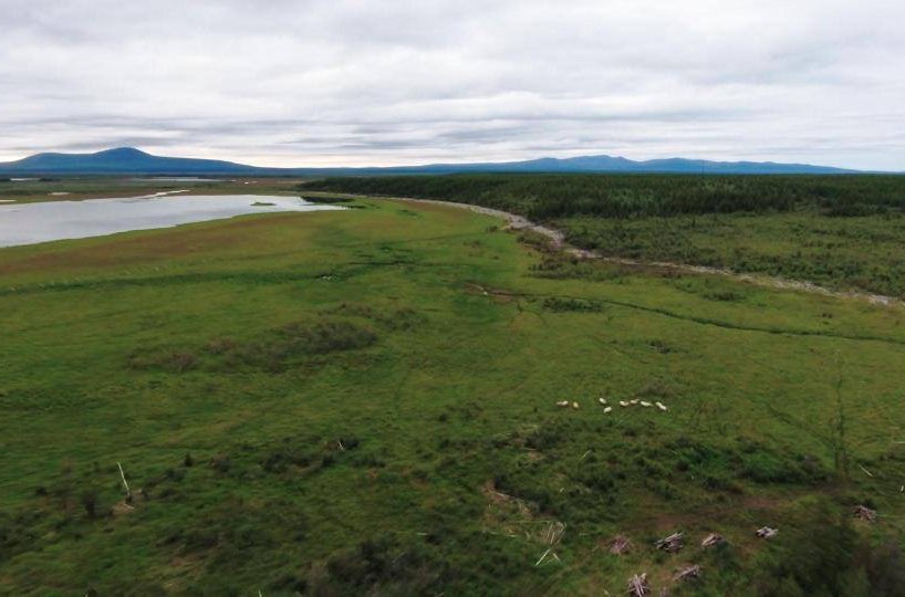 pleistocene park from drone